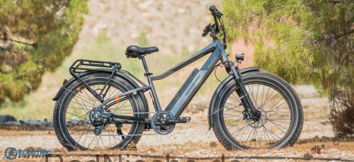 Rad Power Bikes RadRover 6 Plus  technische daten 